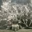 1928. Духовой оркестр 47-го полка г. Боровичи